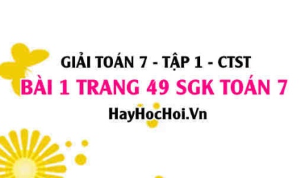 Giải bài 1 trang 49 Toán 7 Tập 1 SGK Chân trời sáng tạo